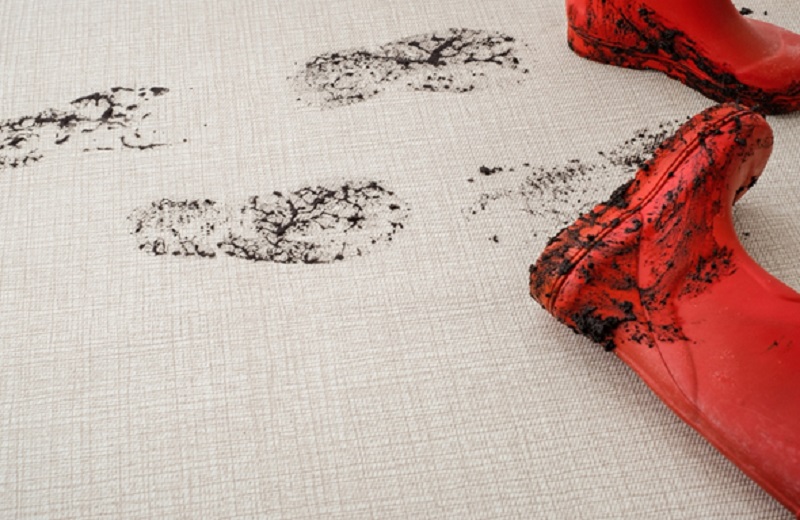 The Impact of Melbourne’s Climate on Your Carpets and How to Keep Them Clean