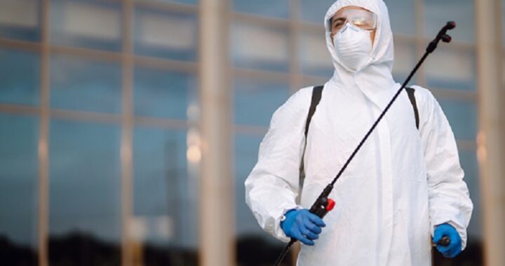 What to Expect from Professional Bed Bug Treatment in Singapore