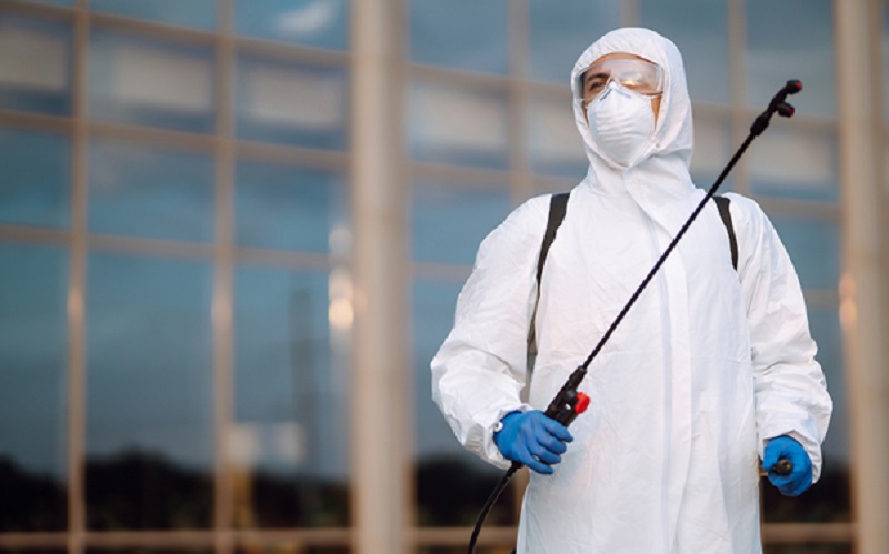 What to Expect from Professional Bed Bug Treatment in Singapore